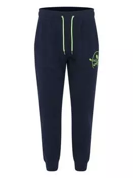 Спортивные штаны Chiemsee, синий