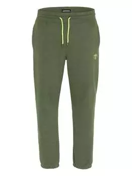 Спортивные штаны Chiemsee, зеленый