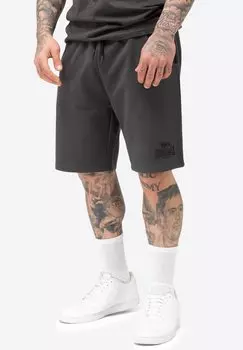 Спортивные штаны COVENTRY - Shorts Lonsdale, серый