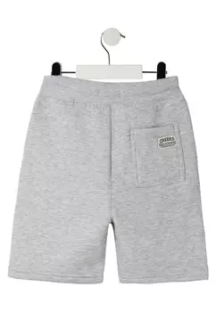 Спортивные штаны Creeks, серый