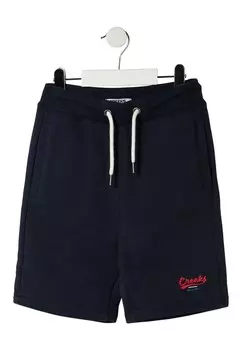 Спортивные штаны Creeks, темно-синий