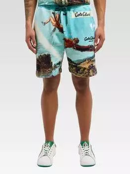 Спортивные штаны дель утри Carlo Colucci, синий