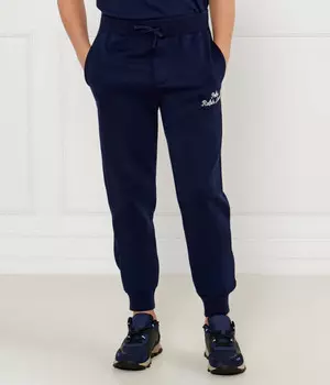 Спортивные штаны детские Polo Ralph Lauren джоггеры, синий