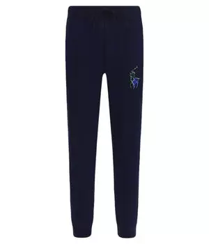Спортивные штаны детские Polo Ralph Lauren с вышивкой, синий