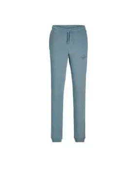 Спортивные штаны для мальчика Jack & Jones, синий