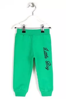 Спортивные штаны для маленьких мальчиков темно-зеленого цвета с принтом и эластичными штанинами Zepkids