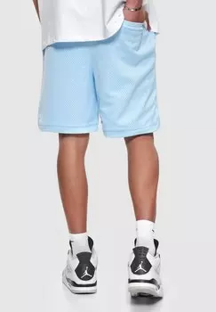 Спортивные штаны Dropsize, нежно-синий