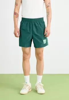 Спортивные штаны GRAPHICS SPRINTER adidas, зеленый