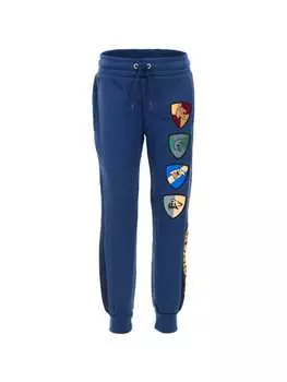 Спортивные штаны Harry Potter, цвет dunkelblau, grau