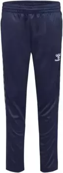 Спортивные штаны Hummel "HMLAUTHENTIC TRAINING PANTS KIDS" (1 шт.), цвет морской волны