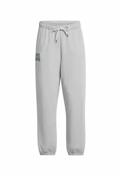 Спортивные штаны ICON OS Under Armour, серый