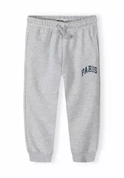 Спортивные штаны JOGGERS MINOTI, пестрый серый