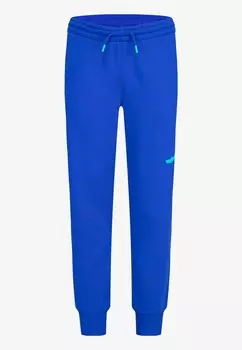 Спортивные штаны JUMPMAN BASELINE PANT UNISEX Jordan, синий