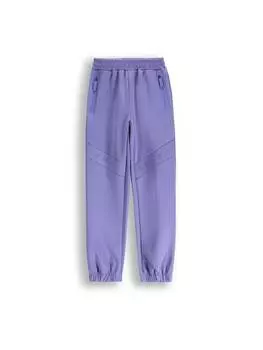 Спортивные штаны Lemon, фиолетовый
