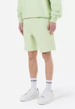 Спортивные штаны LOGO - Shorts Pegador, светло-зеленый