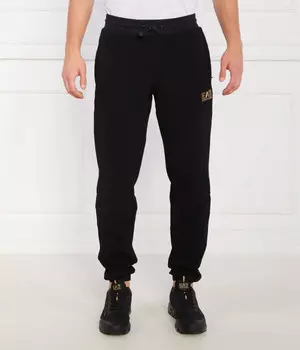 Спортивные штаны мужские Ea7 на кулиске, черный