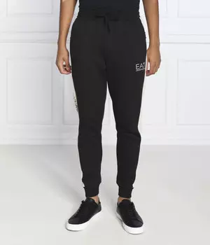 Спортивные штаны мужские Ea7 зауженные, черный