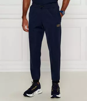 Спортивные штаны мужские Ea7 зауженные, синий