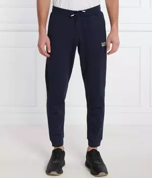 Спортивные штаны мужские Ea7 зауженные, синий