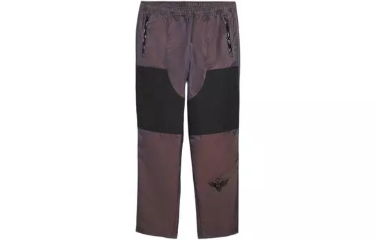 Спортивные штаны мужские фиолетовые Puma, фиолетовый