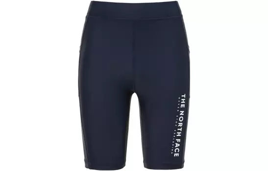 Спортивные штаны мужские синие The North Face, синий