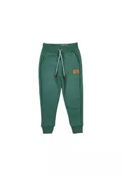 Спортивные штаны осень зима Lagarto Verde, зеленый