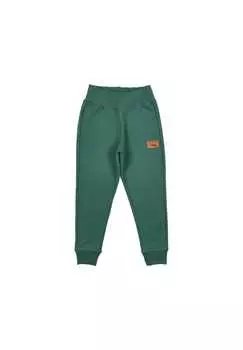 Спортивные штаны осень зима Lagarto Verde, зеленый