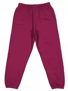 Спортивные штаны Pangaia, фиолетовый