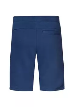 Спортивные штаны Petrol Industries, синий