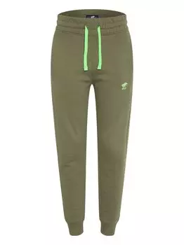 Спортивные штаны Polo Sylt, зеленый