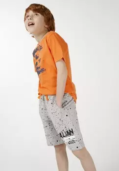 Спортивные штаны PRINTED BRZ Collection, серый