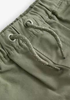 Спортивные штаны Pull-On-Regular Fit Next, шалфейный зеленый