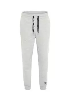 Спортивные штаны с логотипом и этикеткой. Chiemsee, серый