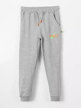 Спортивные штаны с принтом и эластичной резинкой на талии для мальчиков Ml Kids, серый