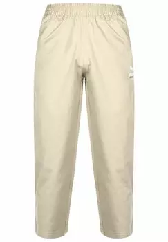 Спортивные штаны SANTA CRUZ TWILL Puma, цвет spray green