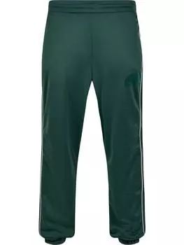 Спортивные штаны Southpole, цвет darkfreshgreen