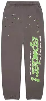 Спортивные штаны Sp5der Punk V2 Sweatpants 'Grey', серый