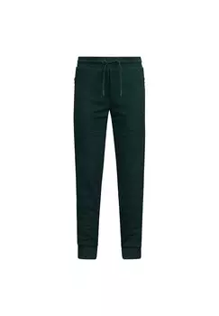 Спортивные штаны SW WINSTON Retour Jeans, цвет hunter green