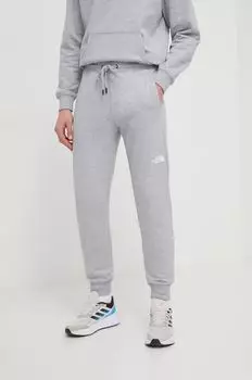 Спортивные штаны The North Face, серый