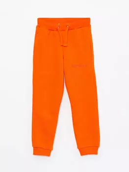 Спортивные штаны унисекс для детей с вышивкой и эластичной резинкой на талии Pantone