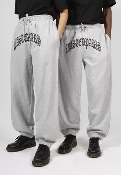 Спортивные штаны UNISEX KINGDOM Wasted Paris, цвет ash grey