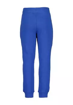 Спортивные штаны VEHICLES Blue Seven, синий