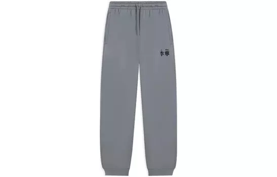 Спортивные спортивные штаны из коллекции Sports Life, цвет серый Lining, серый