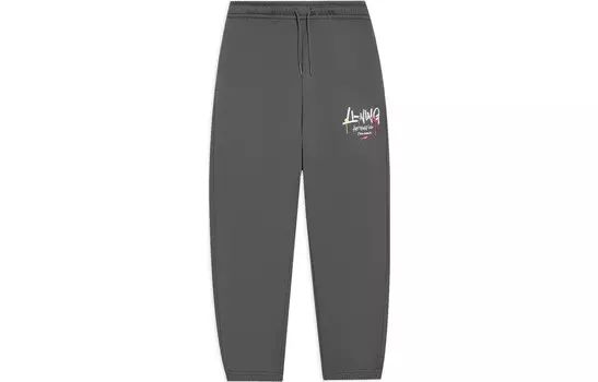 Спортивные спортивные штаны из коллекции Sports Life, цвет серый Lining, серый