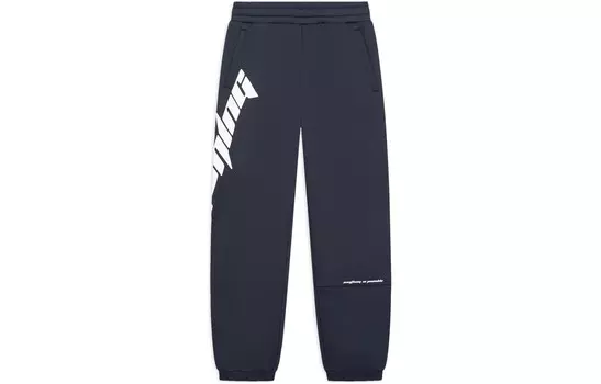 Спортивные спортивные штаны из коллекции Sports Life, цвет серый Lining, серый