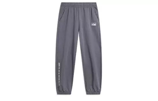 Спортивные спортивные штаны из коллекции Sports Life, цвет серый Lining, серый
