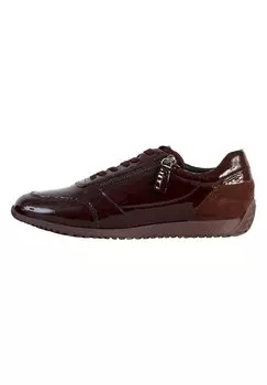 Спортивные туфли на шнуровке Calithe Geox, цвет vin