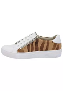Спортивные туфли на шнуровке HAZEL Solidus, цвет vitello zebra weiss camel
