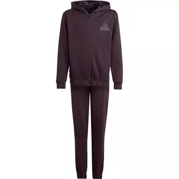 Спортивный костюм adidas Sportswear Fi Logo Co, фиолетовый