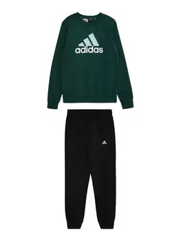 Спортивный костюм ADIDAS SPORTSWEAR Tracksuit, цвет fir
